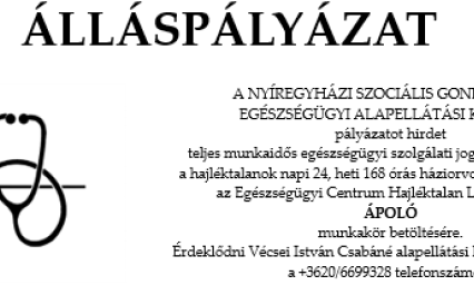 Álláspályázat